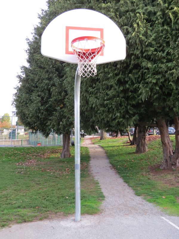 Basketball Hoop Installation in Denver, CO